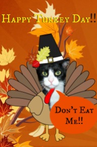 thanksgiving card d